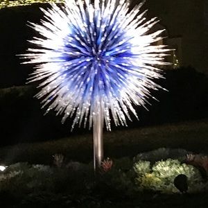 Meet your Posher, Susie